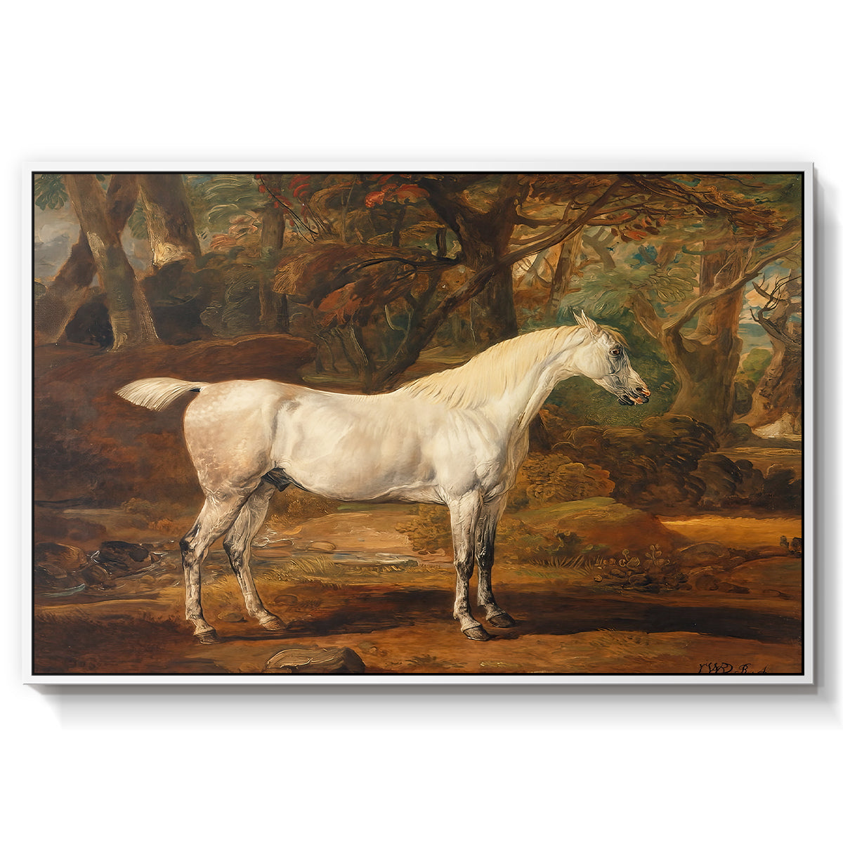 Grey Arabian Stallion, Property of Sir Watkin Williams-Wynn, c. 1817 - Floater Framed Canvas Print