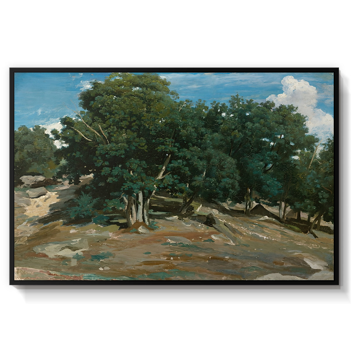 Fontainebleau: Oak Trees at Bas-Bréau, c. 1830-1835 - Floater Framed Canvas Print