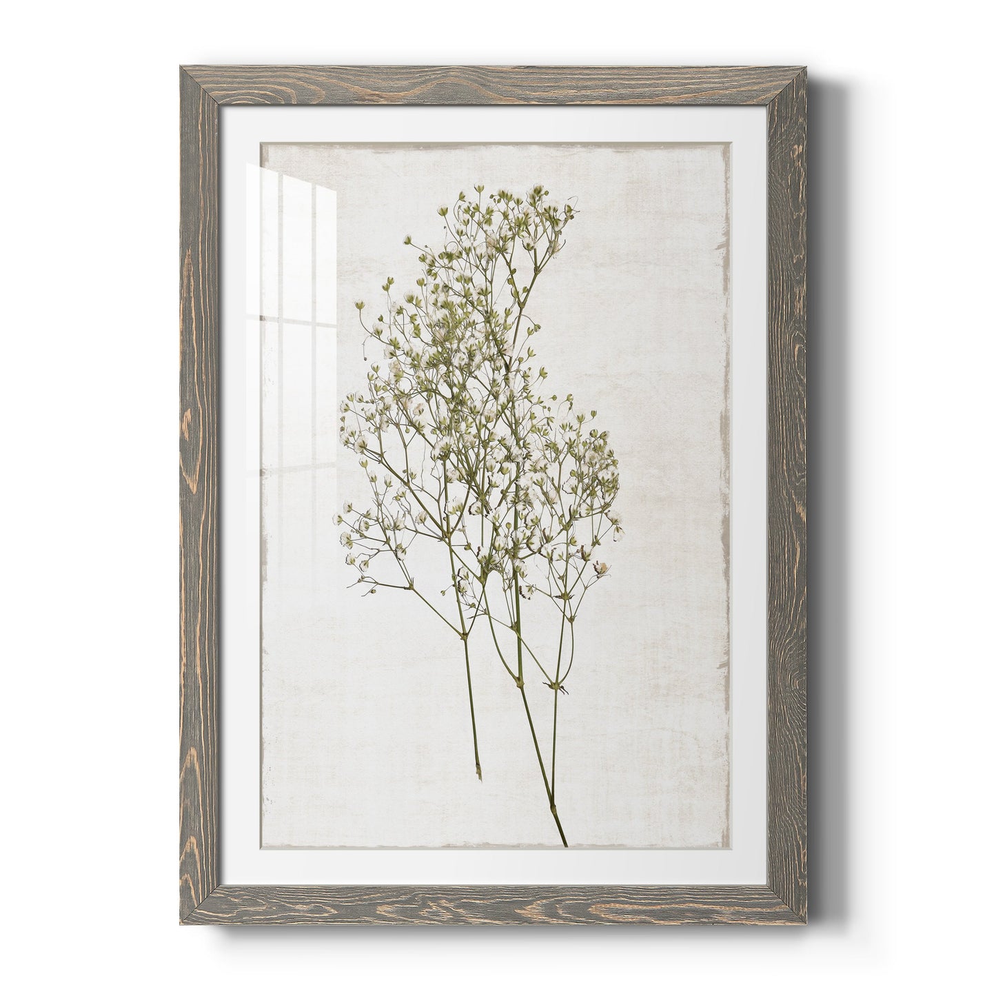 Farmhouse Pressed Flower I - Premium Framed Print - Distressed Barnwood Frame - Ready to Hang