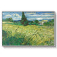 Green Wheat Field with Cypress, 1889 - Floater Framed Canvas Print