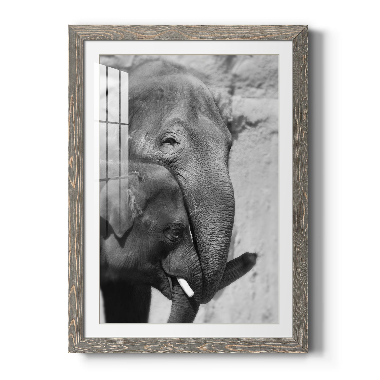 Tender Moment - Premium Framed Print - Distressed Barnwood Frame - Ready to Hang