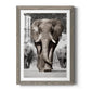 Botswana Patriarch - Premium Framed Print - Distressed Barnwood Frame - Ready to Hang