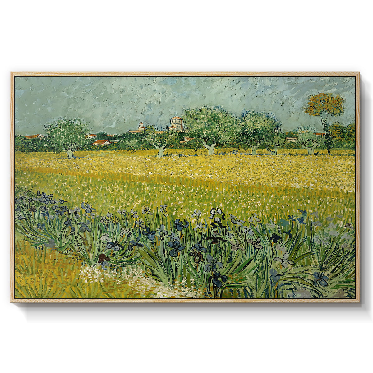 Field with Irises near Arles, 1888 - Floater Framed Canvas Print