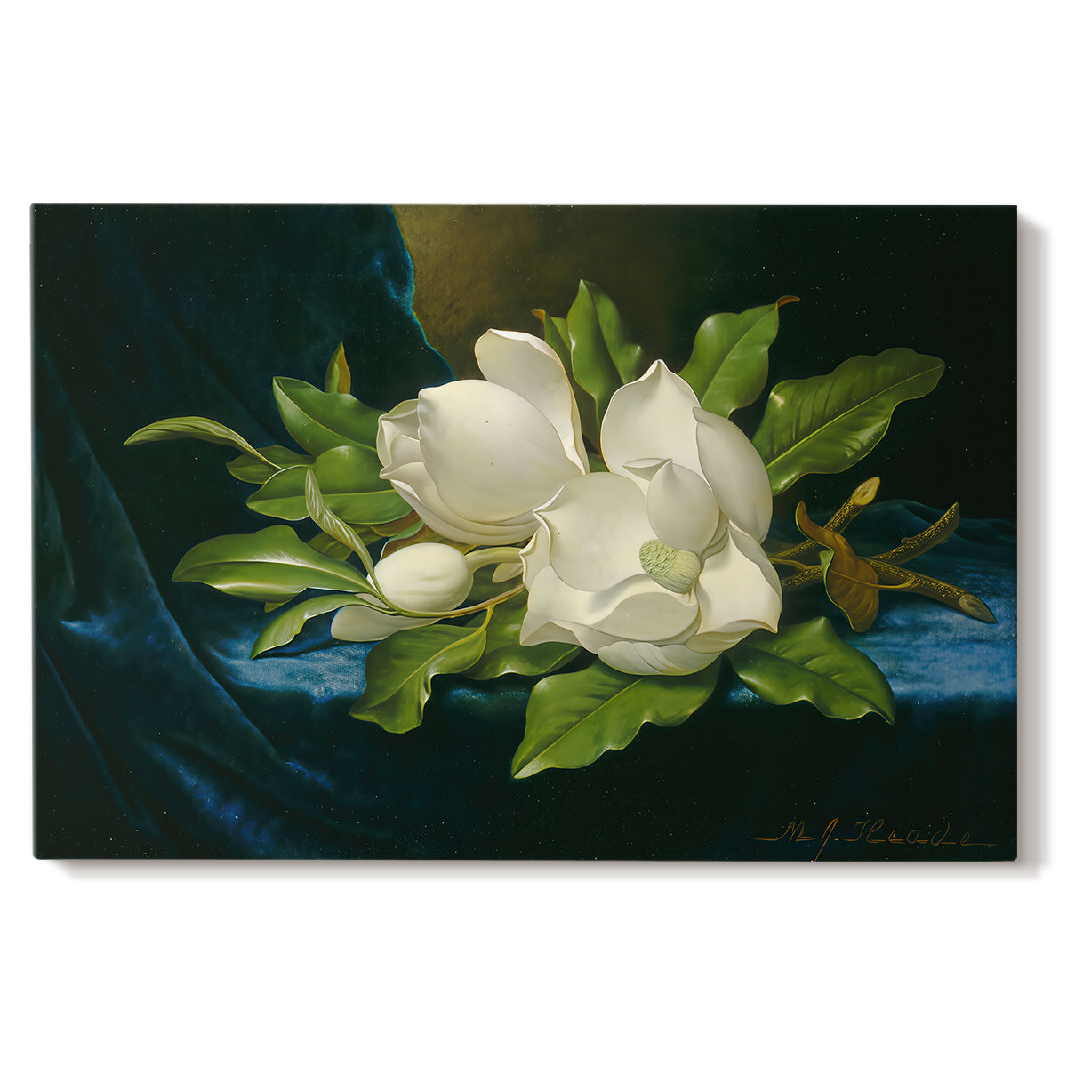 Canvas art print portraying a large magnolia flowers arranged on blue velvet, set against a white background