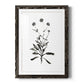 Inky Botanical I - Barnwood Framed Art Print
