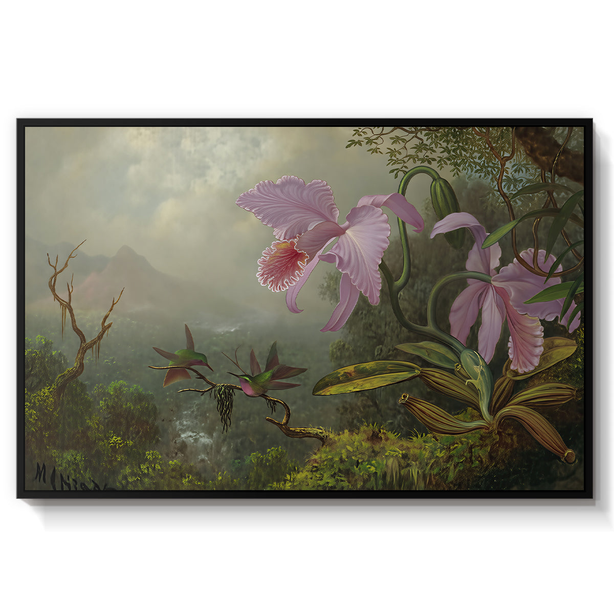 Two Sun Angel Hummingbirds on a Branch, c. 1890-1904 - Floater Framed Canvas Print