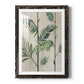 Modern Fronds II - Barnwood Framed Art Print