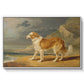Rough-Coated Collie, 1809 - Floater Framed Canvas Print