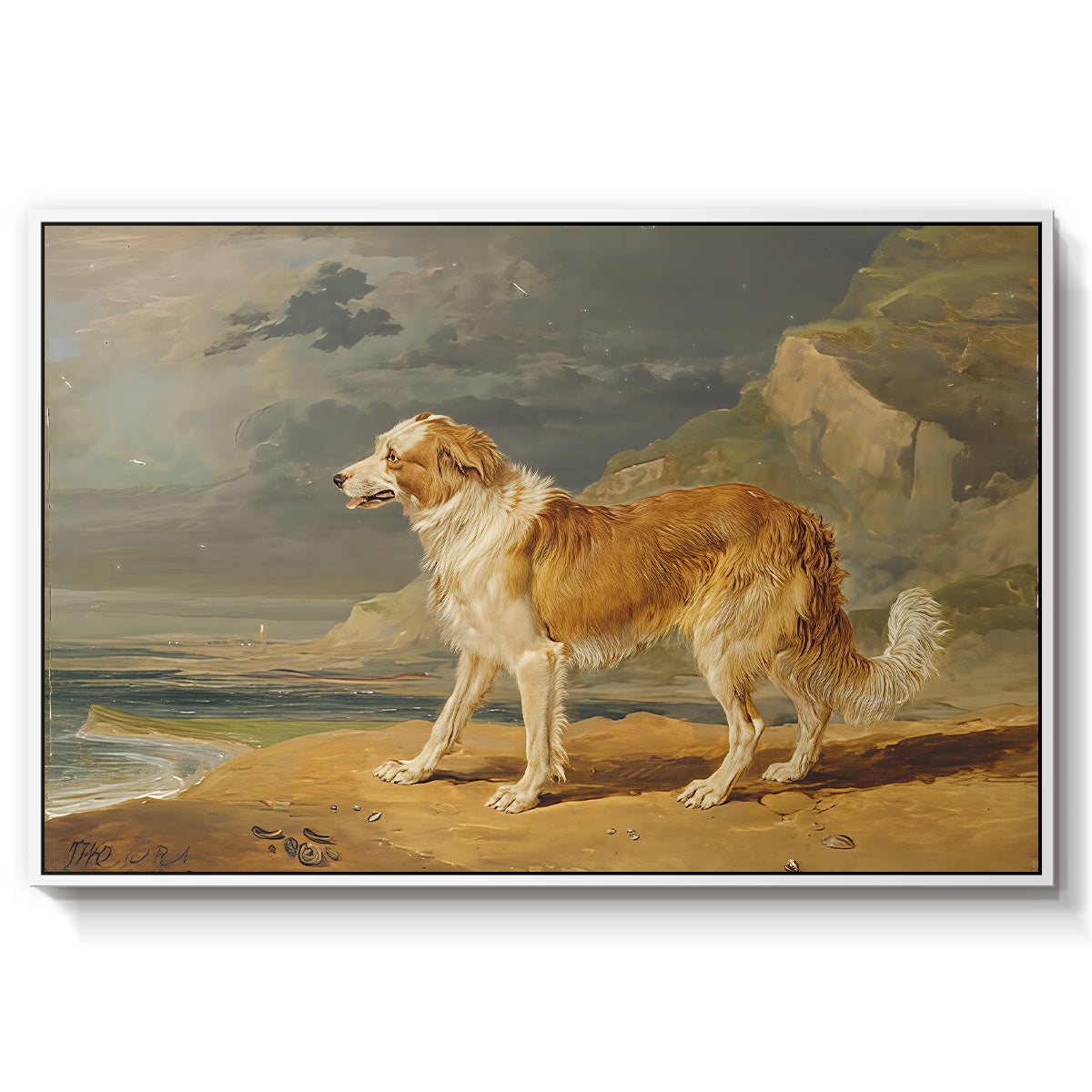 Rough-Coated Collie, 1809 - Floater Framed Canvas Print