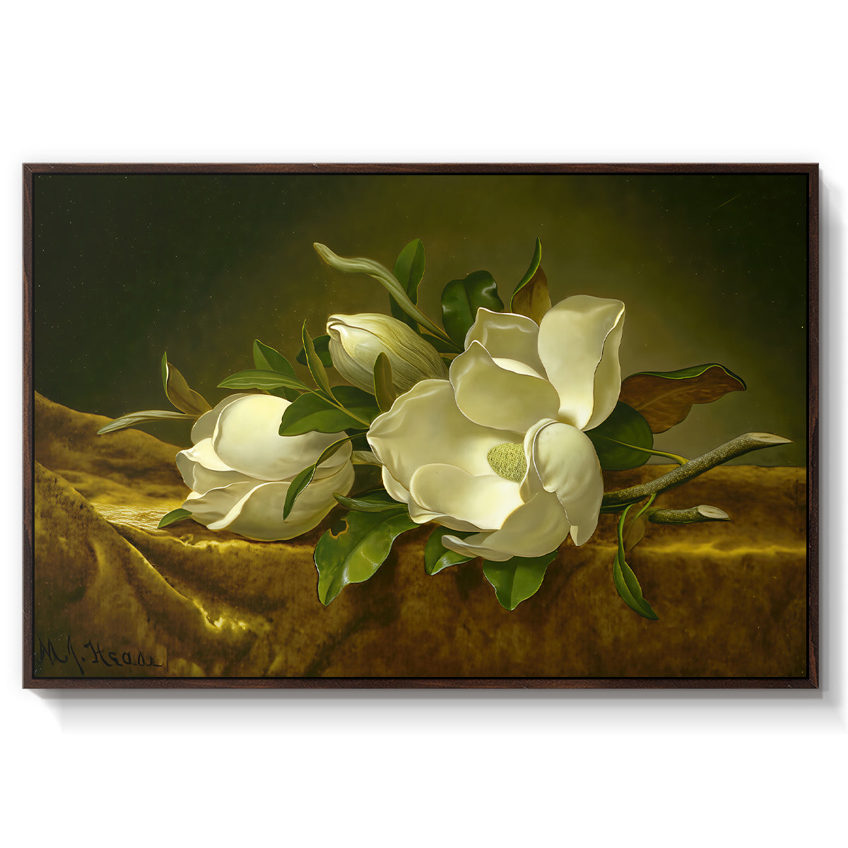Magnolias on Gold Velvet Cloth, c. 1888-1890 - Floater Framed Canvas Print