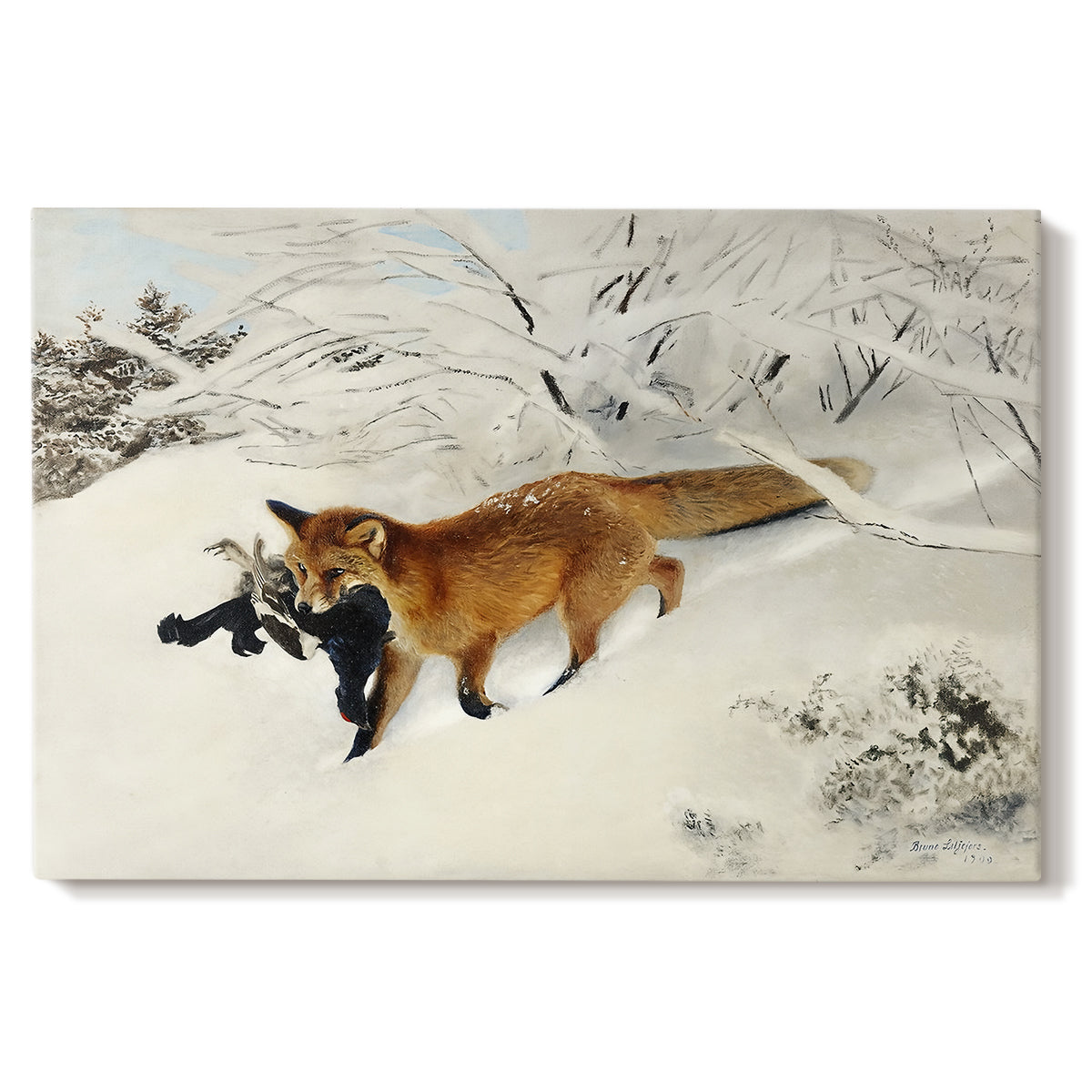 Canvas art print portraying a fox running across snowy landscape with sparse vegetation, set against a white background
