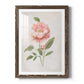 Grandiflora III - Barnwood Framed Art Print