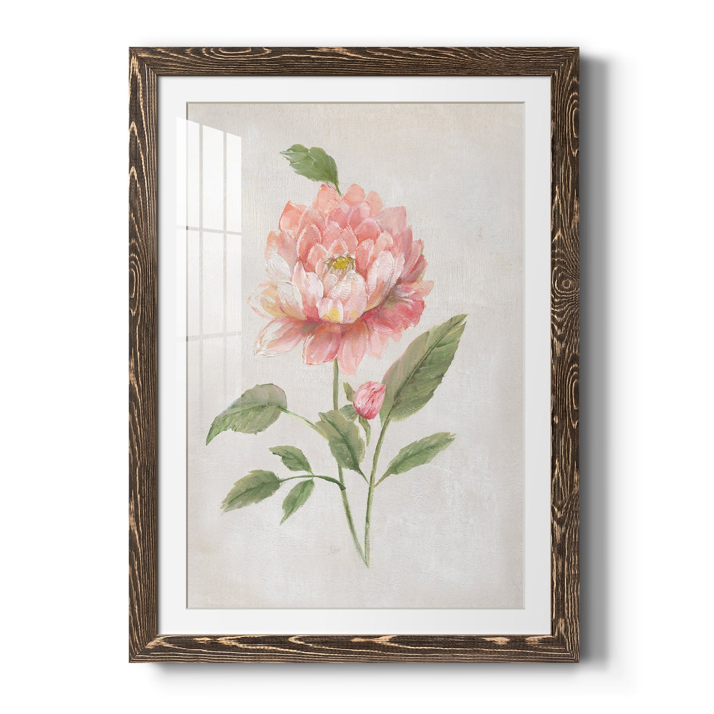 Grandiflora III - Barnwood Framed Art Print