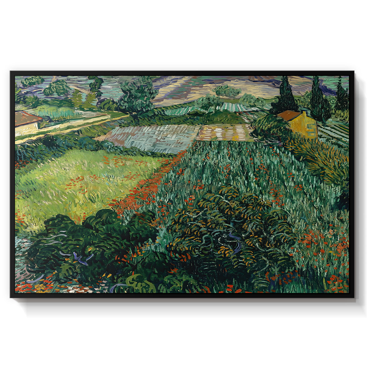 Field with Poppies, Saint-Rémy, 1889 - Floater Framed Canvas Print