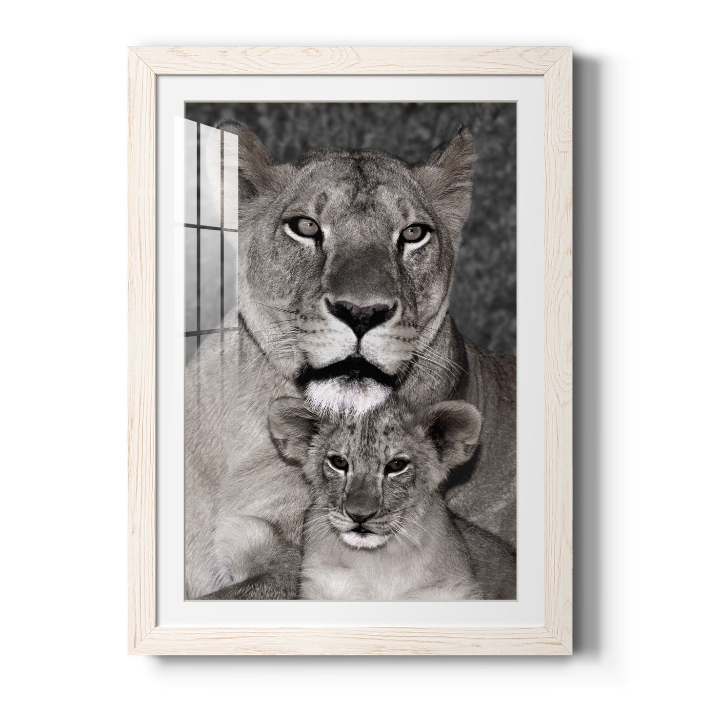 Lioness and Cub - Barnwood Framed Art Print