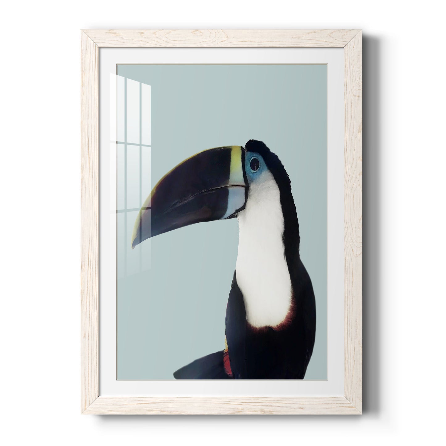 Aruba Wildlife - Premium Framed Print - Distressed Barnwood Frame - Ready to Hang