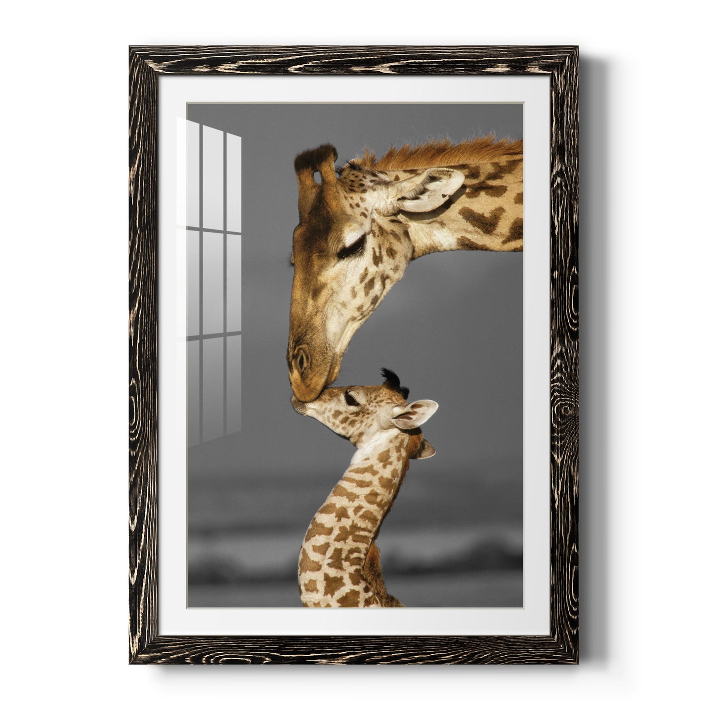 Masai Mara Giraffe Family - Premium Framed Print - Distressed Barnwood Frame - Ready to Hang