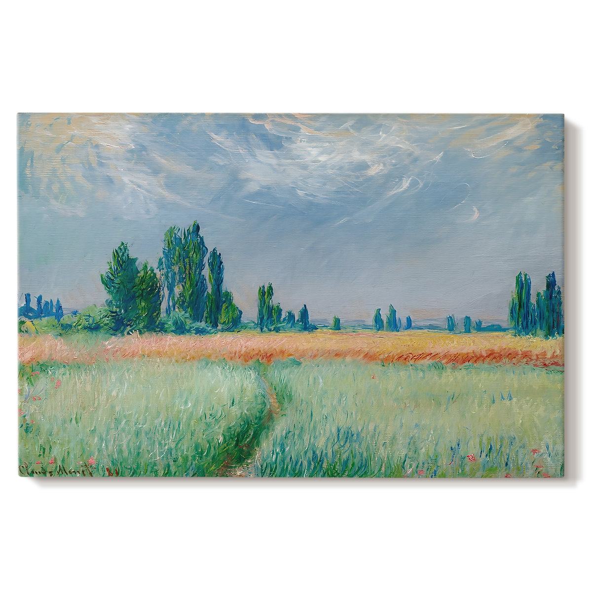 Canvas art print portraying a golden wheat field stretching across landscape under soft sky, set against a white background