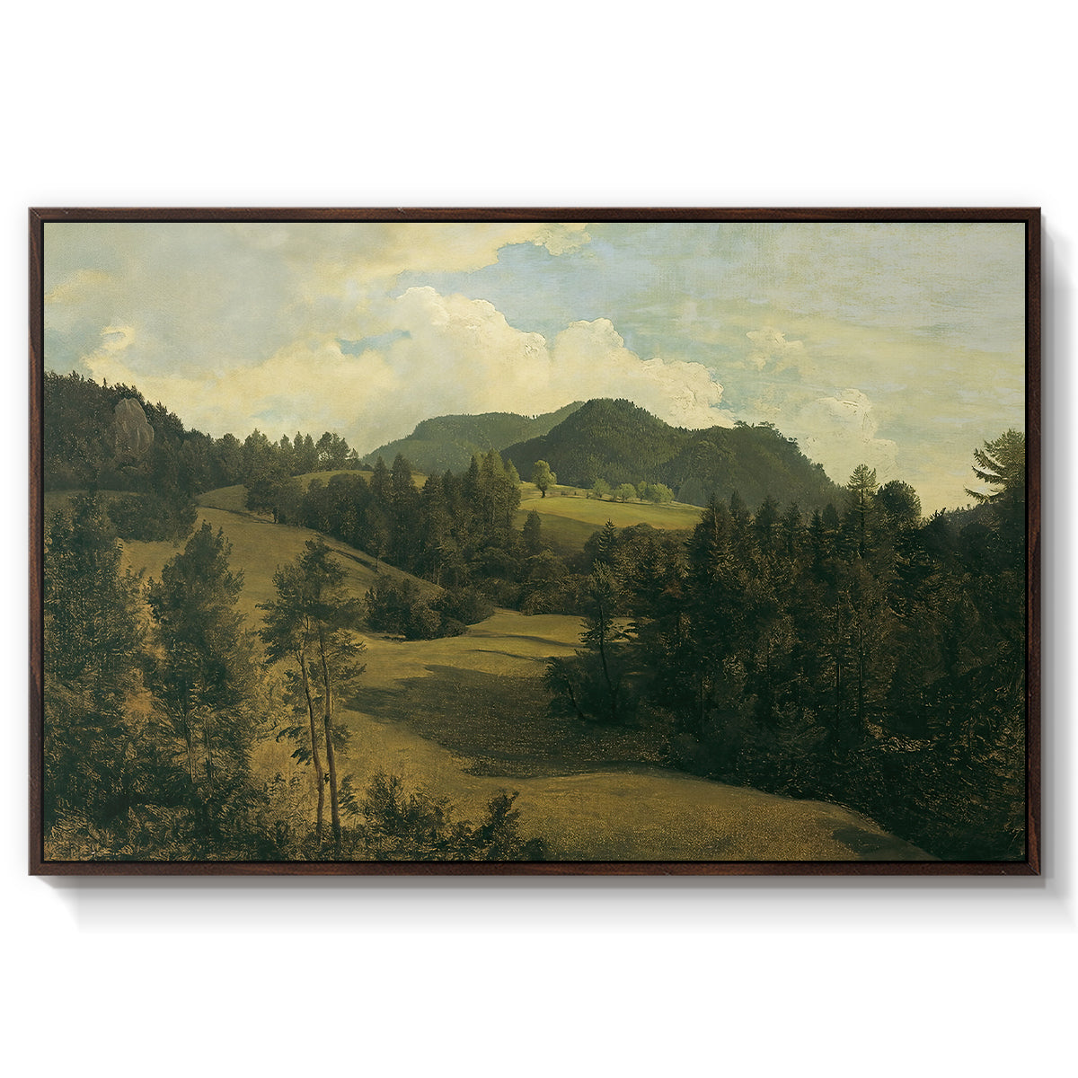 Landscape near Miesenbach, c. 1830 - Floater Framed Canvas Print
