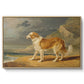 Rough-Coated Collie, 1809 - Floater Framed Canvas Print