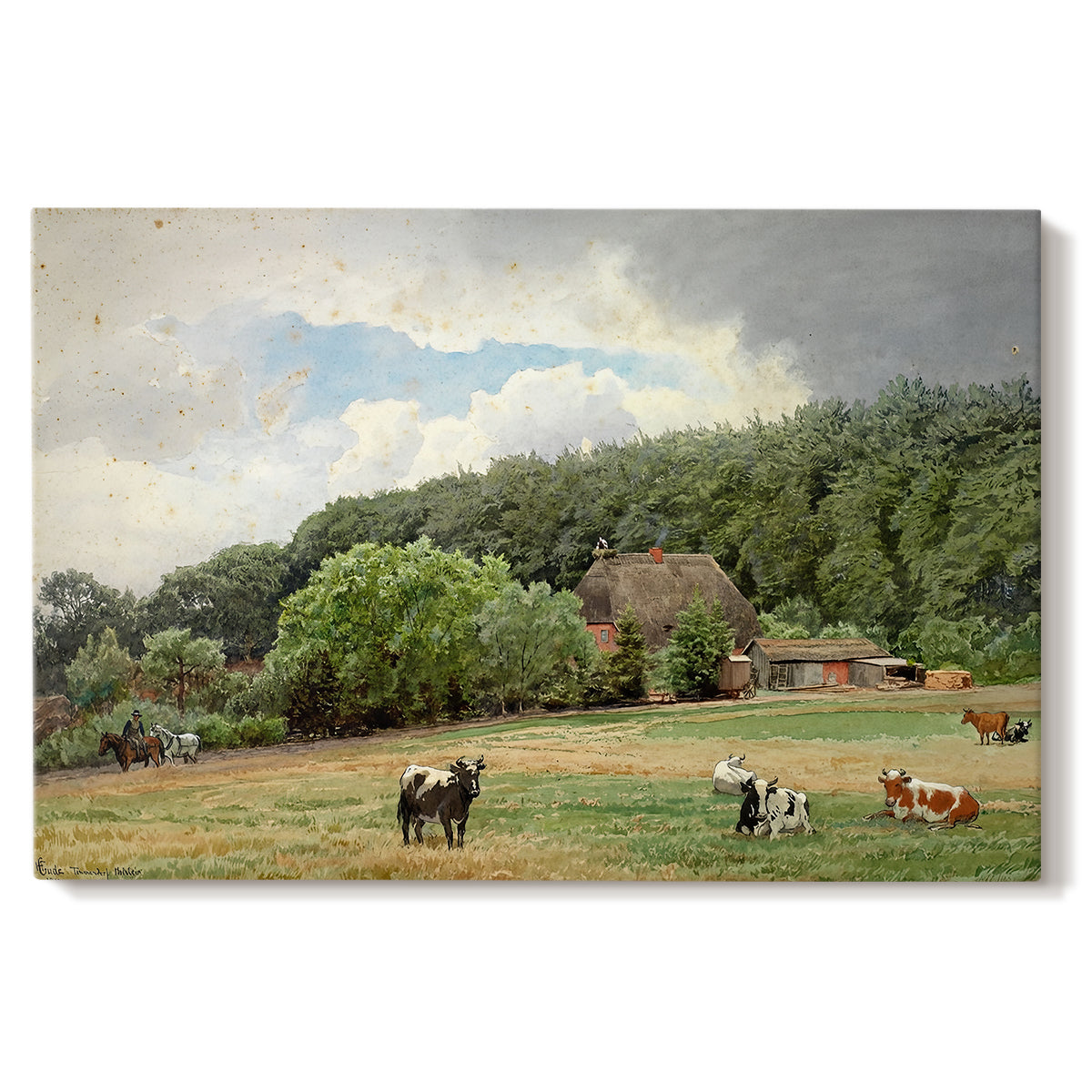Canvas art print portraying cows grazing in pasture near farmhouse in rural countryside, set against a white background