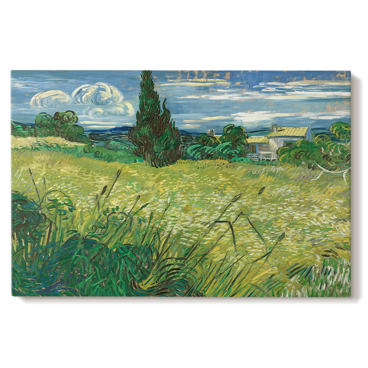 Canvas art print portraying a wheat field with tall cypress tree rising against vivid sky, set against a white background
