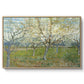 The Pink Orchard, 1888 - Floater Framed Canvas Print
