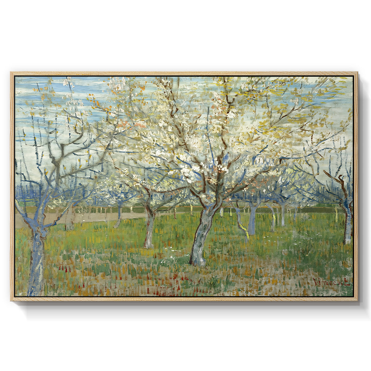 The Pink Orchard, 1888 - Floater Framed Canvas Print