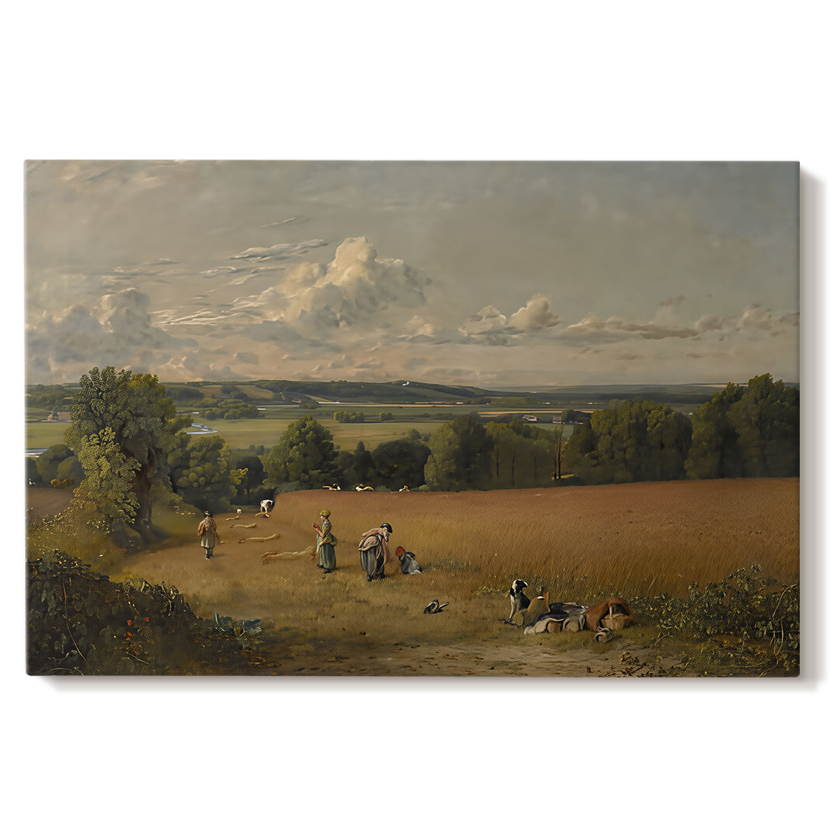 Canvas art print portraying an open field with path through crops under wide sky, set against a white background