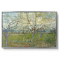 The Pink Orchard, 1888 - Floater Framed Canvas Print