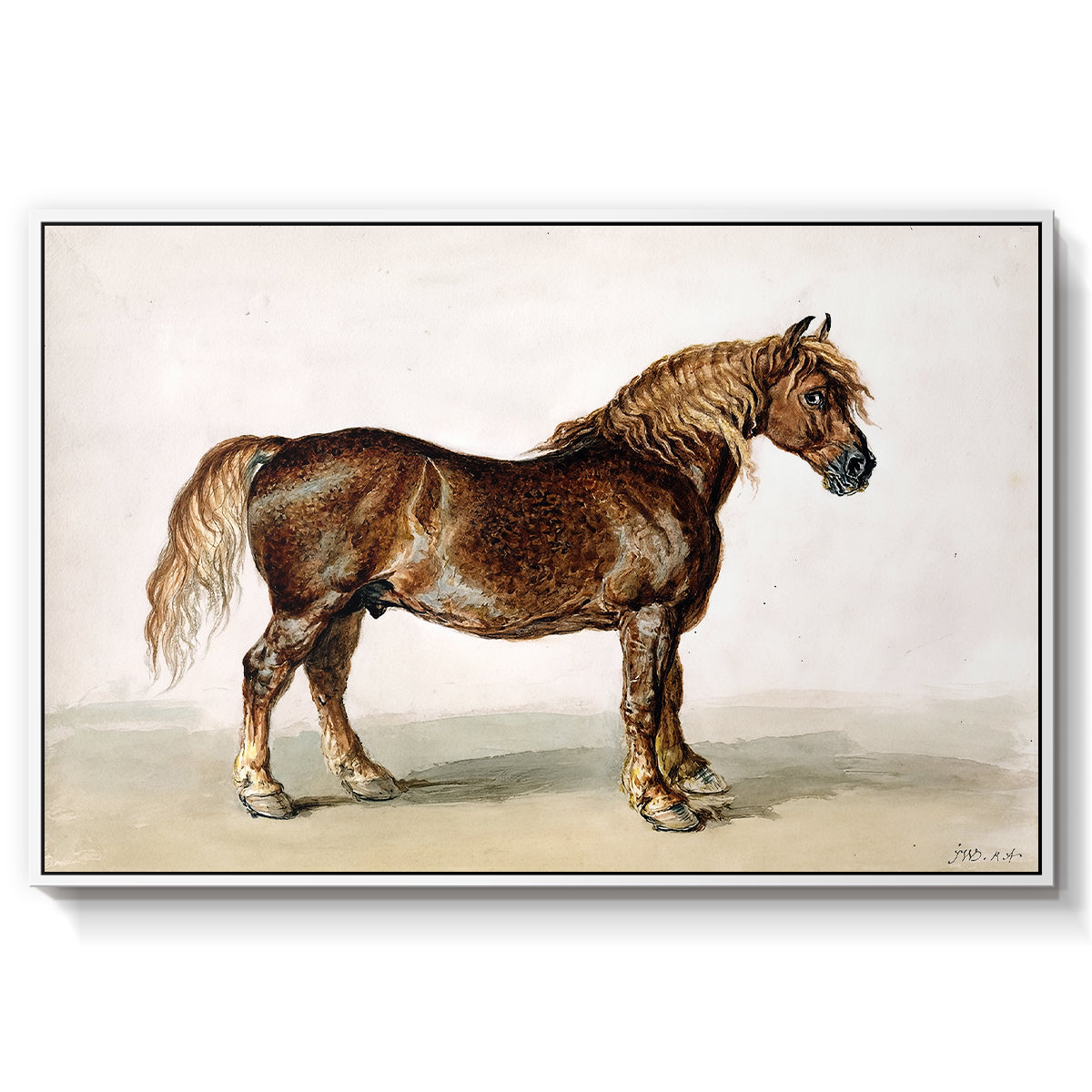 A Cart-Horse - Floater Framed Canvas Print