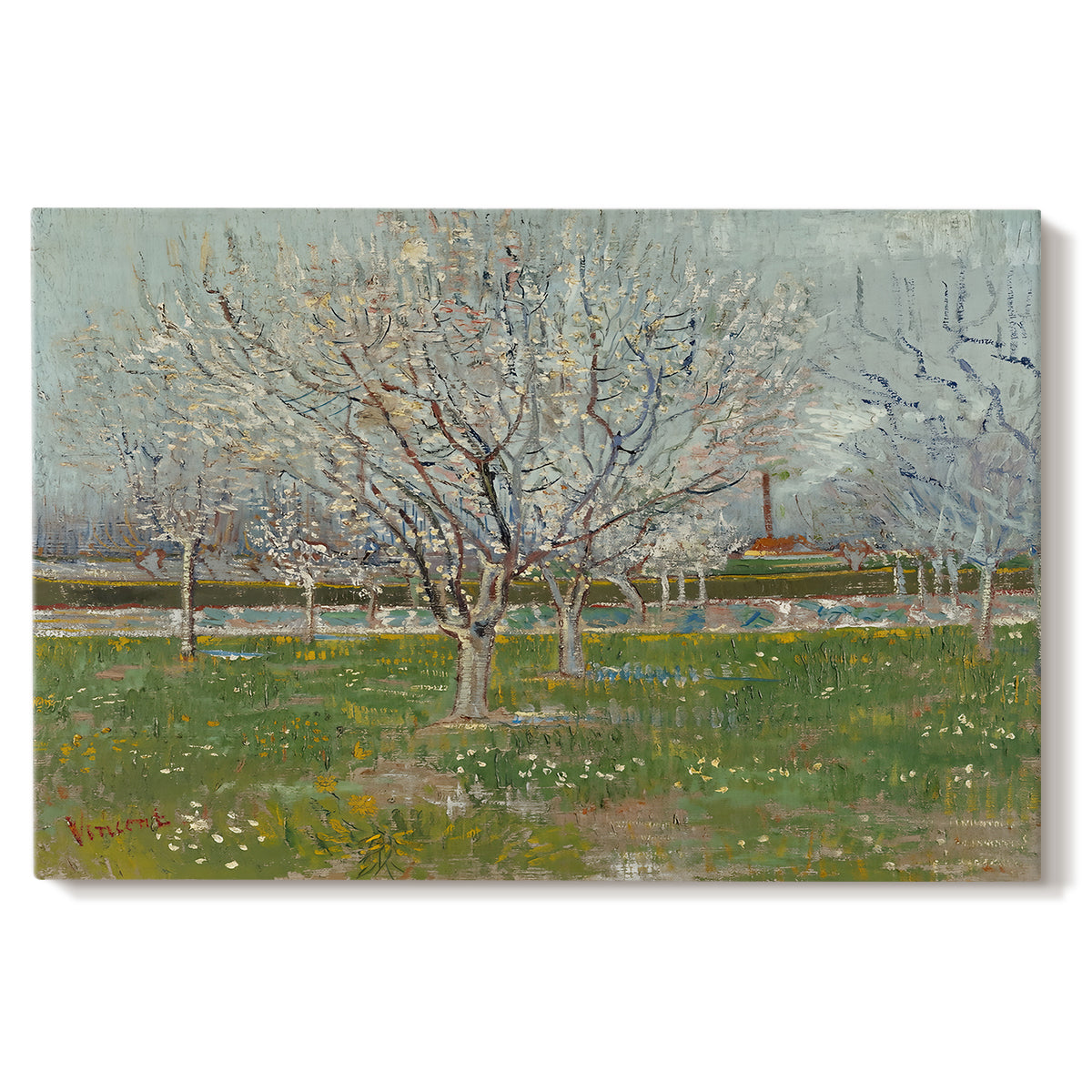 Canvas art print portraying evenly spaced trees covered in blossoms across flat orchard landscape, set against a white background