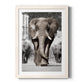 Botswana Patriarch - Premium Framed Print - Distressed Barnwood Frame - Ready to Hang