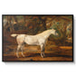 Grey Arabian Stallion, Property of Sir Watkin Williams-Wynn, c. 1817 - Floater Framed Canvas Print