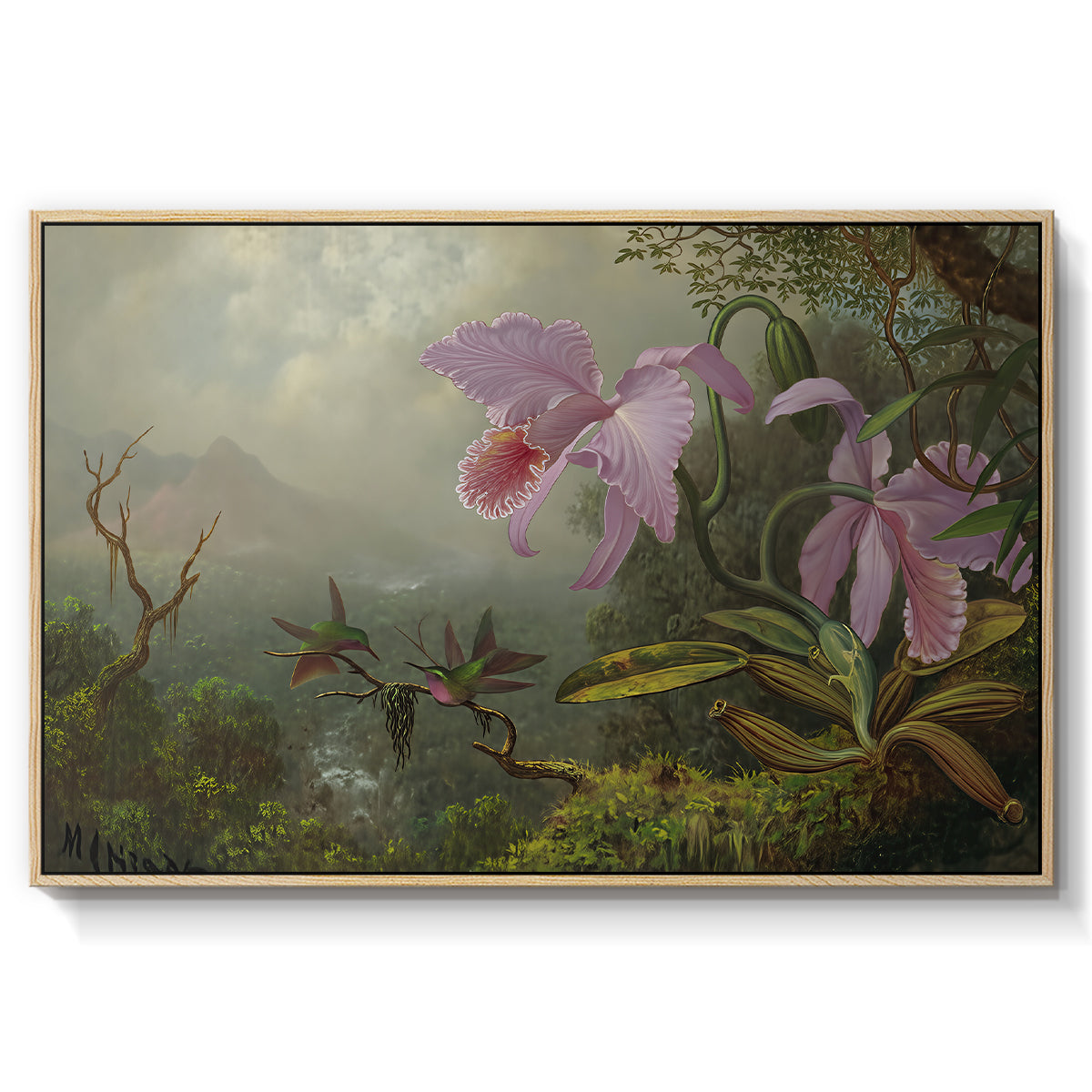 Two Sun Angel Hummingbirds on a Branch, c. 1890-1904 - Floater Framed Canvas Print