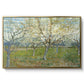 The Pink Orchard, 1888 - Floater Framed Canvas Print