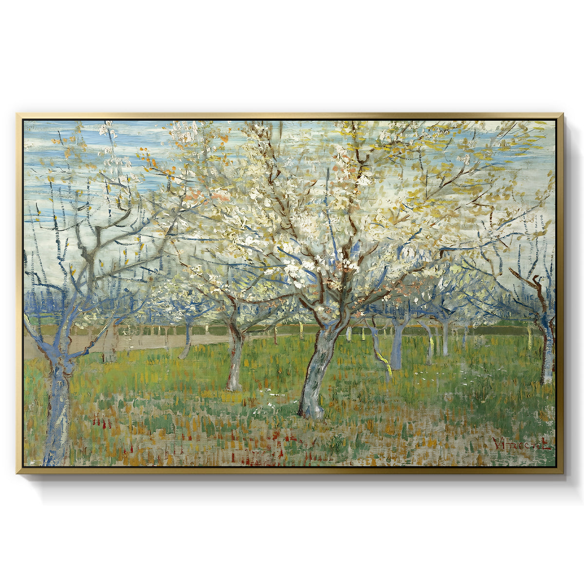 The Pink Orchard, 1888 - Floater Framed Canvas Print