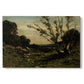 Canvas art print portraying an early morning landscape with trees and soft light over countryside, set against a white background