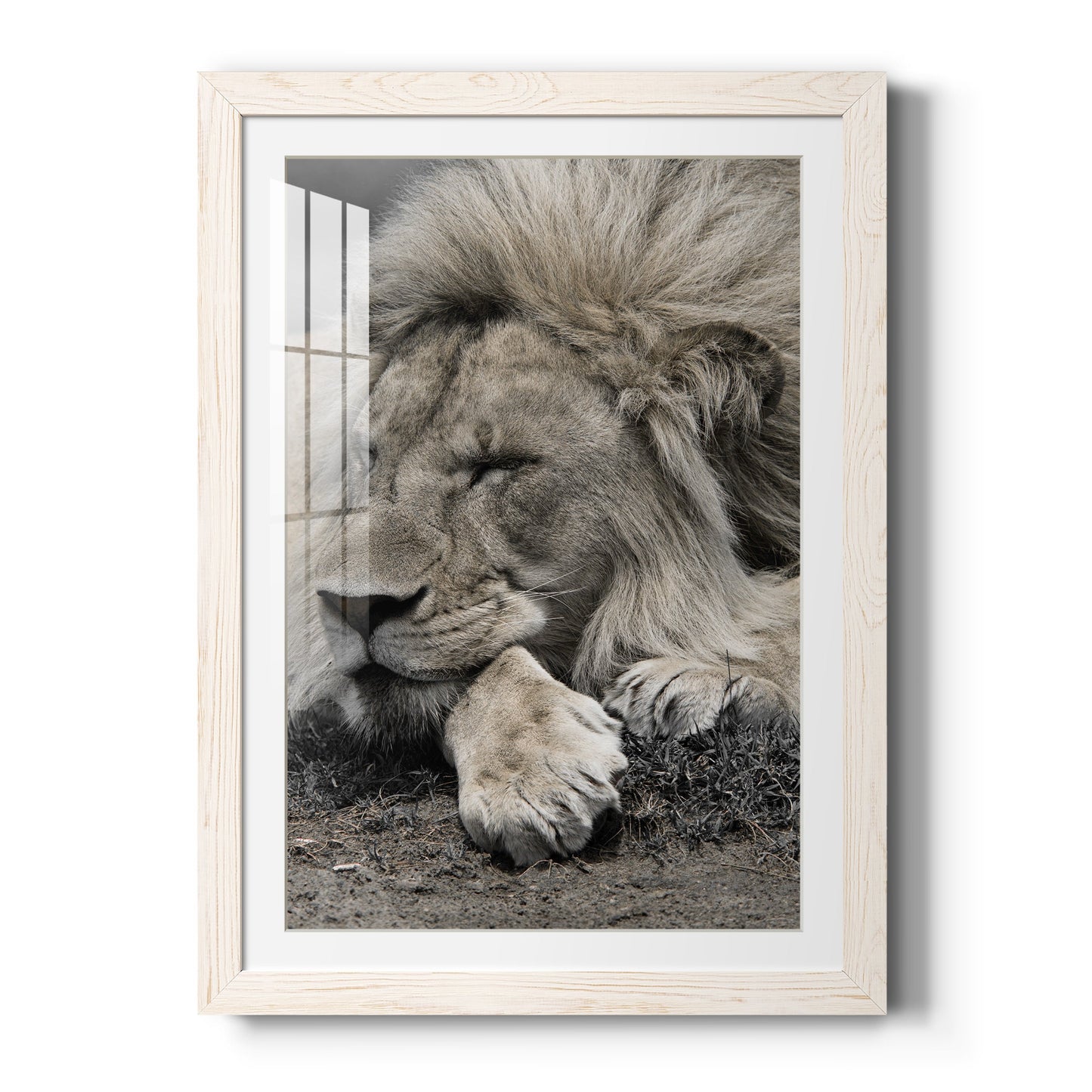 Sleepy Afternoon in Masai Mara - Premium Framed Print - Distressed Barnwood Frame - Ready to Hang