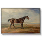 Dr. Syntax, a Bay Racehorse, Standing in a Coastal Landscape, an Estuary Beyond, c. 1820 - Floater Framed Canvas Print
