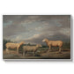 Ryelands Sheep, the King's Ram, the King's Ewe and Lord Somerville's Wether, c. 1801-1807 - Floater Framed Canvas Print