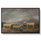 Ryelands Sheep, the King's Ram, the King's Ewe and Lord Somerville's Wether, c. 1801-1807 - Floater Framed Canvas Print