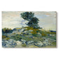 Canvas art print portraying a rocky terrain with natural formations and sparse vegetation under sky, set against a white background