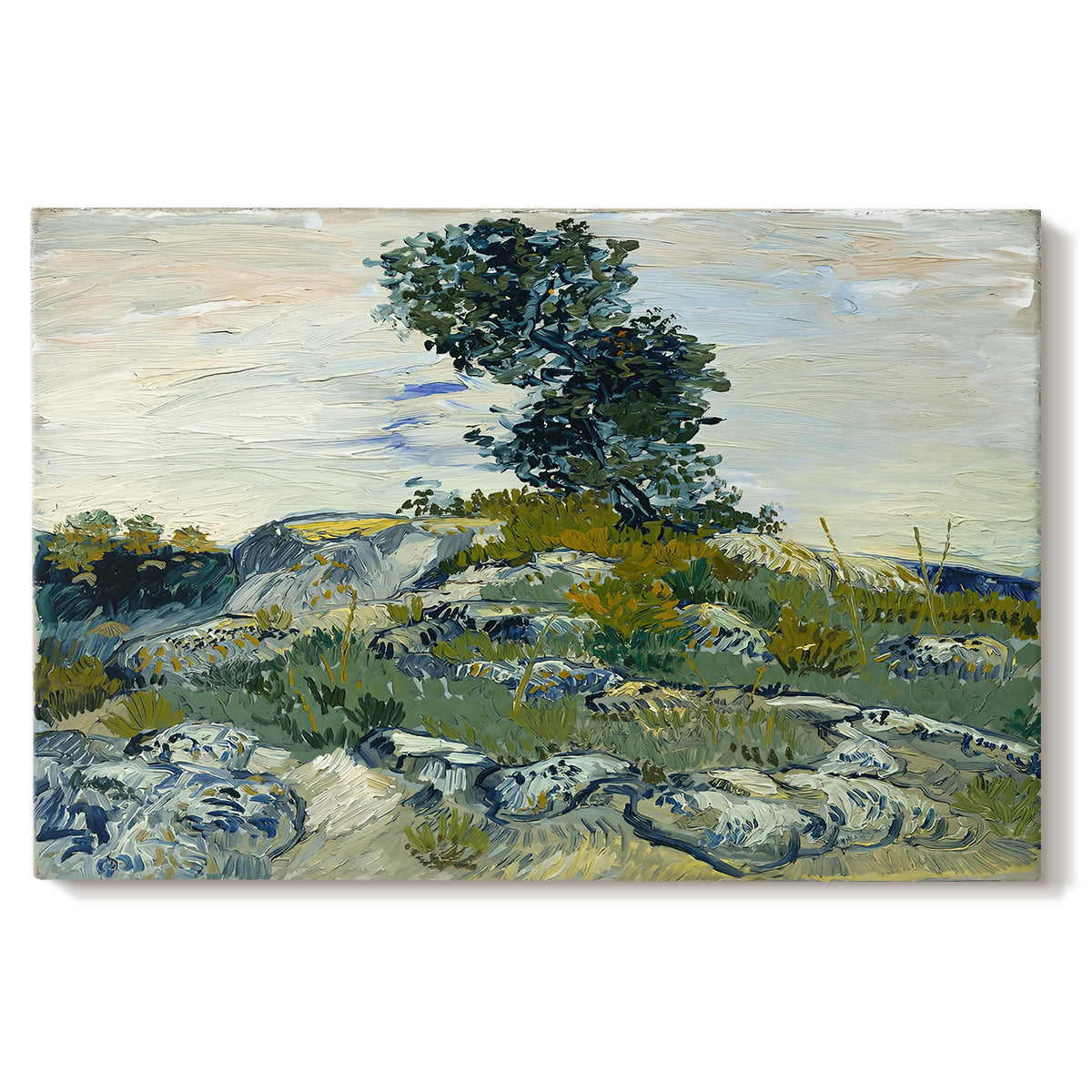 Canvas art print portraying a rocky terrain with natural formations and sparse vegetation under sky, set against a white background