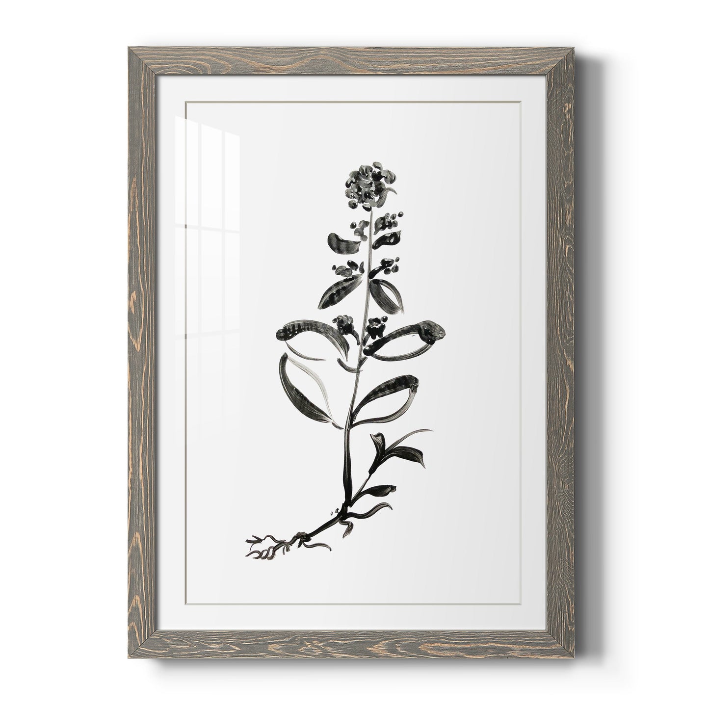 Inky Botanical III - Premium Framed Print - Distressed Barnwood Frame - Ready to Hang