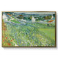 Vineyards at Auvers, 1890 - Floater Framed Canvas Print
