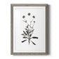 Inky Botanical I - Barnwood Framed Art Print