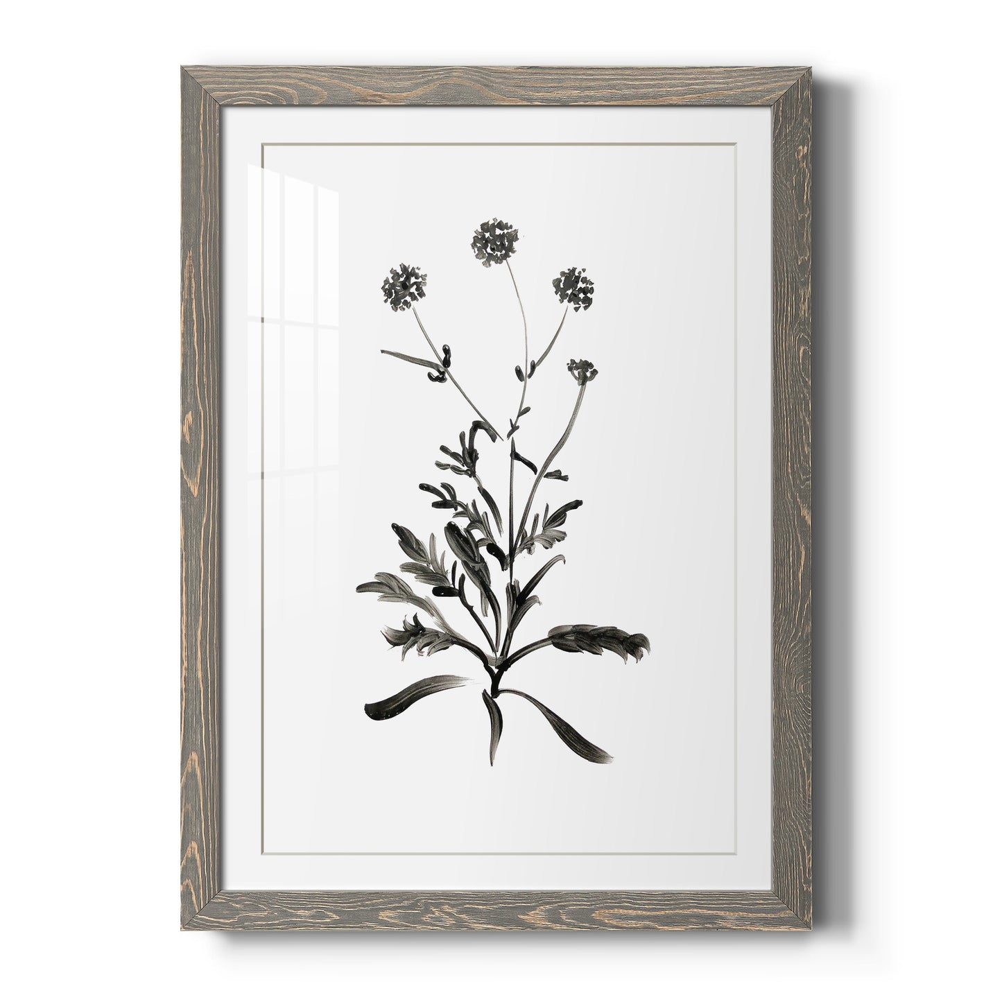 Inky Botanical I - Barnwood Framed Art Print