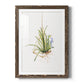 Gardenaire II - Premium Framed Print - Distressed Barnwood Frame - Ready to Hang