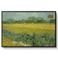 Field with Irises near Arles, 1888 - Floater Framed Canvas Print